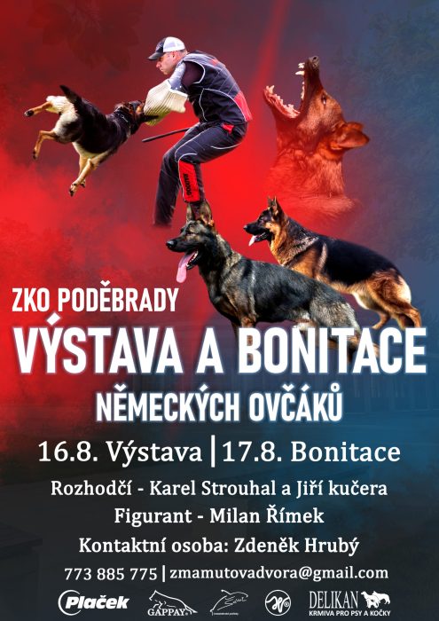 PESPLAKAT kopie1